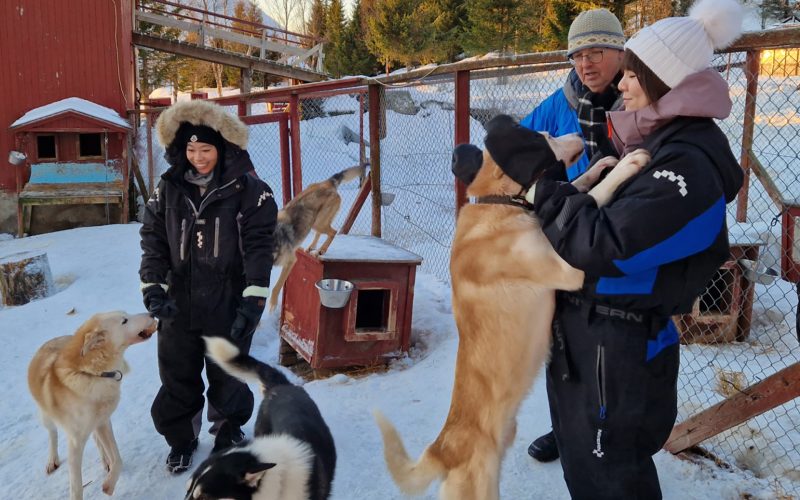 Husky visit - An adventurous visit in idyllic landscape